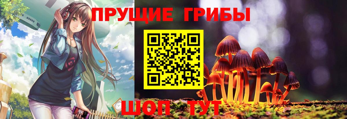 наркошоп  Вход с VPN  Галлюциногенные грибы Cubensis  Губаха  Псилоцибиновые грибы мицелий 